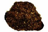 Polished Diogenite Meteorite ( g) Slice - NWA #375653-1
